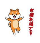[お疲れ様です専用]シバ犬（個別スタンプ：16）
