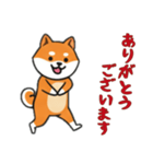 [ありがとうございます専用]シバ犬（個別スタンプ：2）