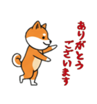 [ありがとうございます専用]シバ犬（個別スタンプ：3）