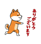 [ありがとうございます専用]シバ犬（個別スタンプ：7）