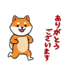 [ありがとうございます専用]シバ犬（個別スタンプ：13）