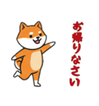 [お帰りなさい専用]シバ犬（個別スタンプ：1）