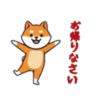 [お帰りなさい専用]シバ犬（個別スタンプ：2）