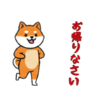 [お帰りなさい専用]シバ犬（個別スタンプ：3）