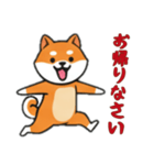 [お帰りなさい専用]シバ犬（個別スタンプ：4）