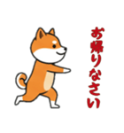 [お帰りなさい専用]シバ犬（個別スタンプ：5）