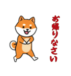 [お帰りなさい専用]シバ犬（個別スタンプ：6）