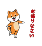 [お帰りなさい専用]シバ犬（個別スタンプ：7）