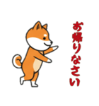 [お帰りなさい専用]シバ犬（個別スタンプ：8）