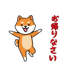 [お帰りなさい専用]シバ犬（個別スタンプ：10）