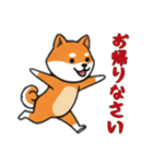 [お帰りなさい専用]シバ犬（個別スタンプ：11）