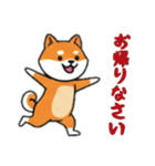 [お帰りなさい専用]シバ犬（個別スタンプ：13）