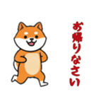 [お帰りなさい専用]シバ犬（個別スタンプ：15）