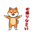 [お帰りなさい専用]シバ犬（個別スタンプ：16）