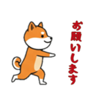 [お願いします専用]シバ犬（個別スタンプ：12）