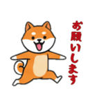 [お願いします専用]シバ犬（個別スタンプ：13）