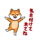 [気を付けて来てね専用]シバ犬（個別スタンプ：8）