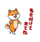 [気を付けて来てね専用]シバ犬（個別スタンプ：9）