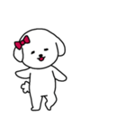 [アレンジ用]ビションフリーゼ女の子（個別スタンプ：1）