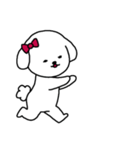 [アレンジ用]ビションフリーゼ女の子（個別スタンプ：2）