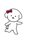 [アレンジ用]ビションフリーゼ女の子（個別スタンプ：4）