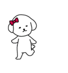 [アレンジ用]ビションフリーゼ女の子（個別スタンプ：5）