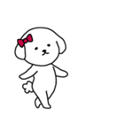 [アレンジ用]ビションフリーゼ女の子（個別スタンプ：7）