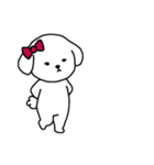 [アレンジ用]ビションフリーゼ女の子（個別スタンプ：8）