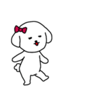 [アレンジ用]ビションフリーゼ女の子（個別スタンプ：10）