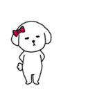 [アレンジ用]ビションフリーゼ女の子（個別スタンプ：11）