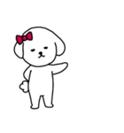 [アレンジ用]ビションフリーゼ女の子（個別スタンプ：12）