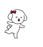[アレンジ用]ビションフリーゼ女の子（個別スタンプ：13）