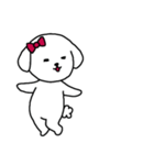 [アレンジ用]ビションフリーゼ女の子（個別スタンプ：15）
