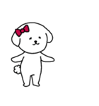 [アレンジ用]ビションフリーゼ女の子（個別スタンプ：16）