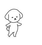 [アレンジ用]ビションフリーゼ男の子（個別スタンプ：1）