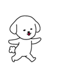 [アレンジ用]ビションフリーゼ男の子（個別スタンプ：6）