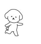 [アレンジ用]ビションフリーゼ男の子（個別スタンプ：8）