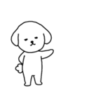 [アレンジ用]ビションフリーゼ男の子（個別スタンプ：12）