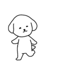 [アレンジ用]ビションフリーゼ男の子（個別スタンプ：13）