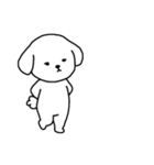 [アレンジ用]ビションフリーゼ男の子（個別スタンプ：15）