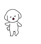 [アレンジ用]ビションフリーゼ男の子（個別スタンプ：16）