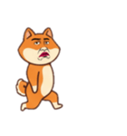[アレンジ用]シバ犬おじさんはブサイク（個別スタンプ：8）
