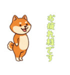 [お疲れ様です専用]シバ犬さん（個別スタンプ：1）