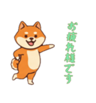 [お疲れ様です専用]シバ犬さん（個別スタンプ：3）