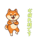 [お疲れ様です専用]シバ犬さん（個別スタンプ：4）