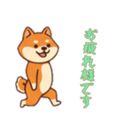 [お疲れ様です専用]シバ犬さん（個別スタンプ：15）