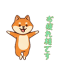 [お疲れ様です専用]シバ犬さん（個別スタンプ：16）