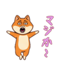 シバ犬おばさんの日常（個別スタンプ：14）