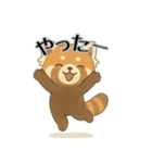 レッサーパンダ日常スタンプ第7弾（個別スタンプ：1）