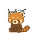 レッサーパンダ日常スタンプ第7弾（個別スタンプ：2）
